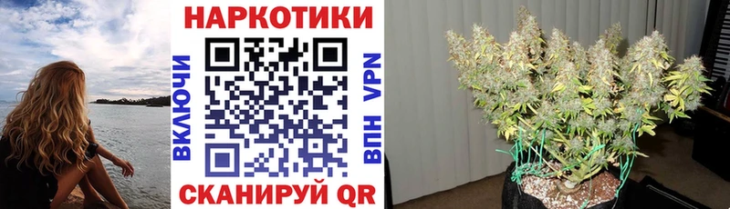Виды наркотиков купить Островной блэк спрут ONION  Каннабис  Меф  ГАШИШ  Псилоцибиновые грибы 