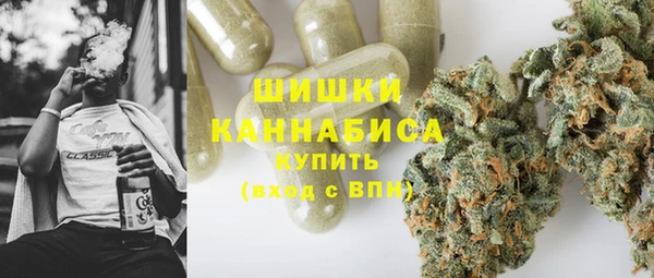 МДПВ Алзамай