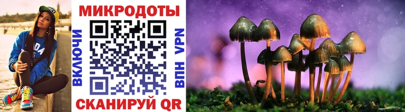 где продают   Островной  Галлюциногенные грибы Cubensis 